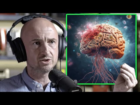 Thumbnail: Andrew Gallimore on DMT and the receiver framing