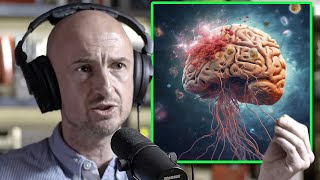 Evidence That DMT Opens the Brain to Other Dimensions | Andrew Gallimore