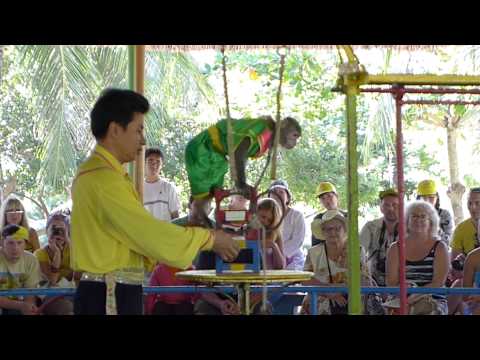 Vietnam- Nha Trang- Monkey Island - Monkey Circus Show HD