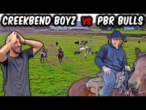 THE CREEKBEND BOYZ Catch PBR BULLS For Our BACKYARD RODEO!