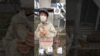 バカ‼︎シートの紐はこれを使えよ‼︎