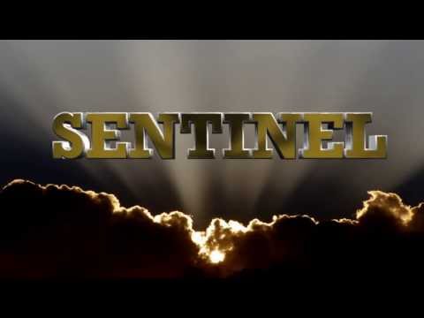 Sentinel Sound 100% Dubplate Mix