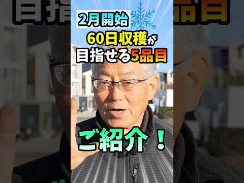 冬に植える野菜 印象的なリスト 玉ねぎ ニンニク ネギ ルタバガ ブロッコリー