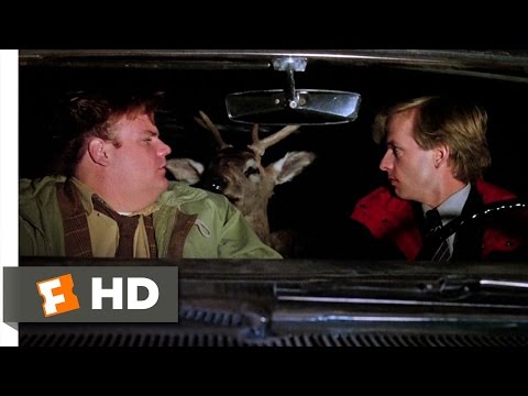 Tommy Boy (4/10) Movie CLIP - The Deer Wakes Up (1995) HD