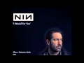 Nine Inch Nails, I Would for You. 