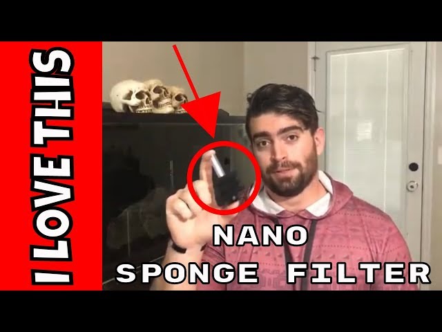 DIY nano sponge filter, betta fish tank