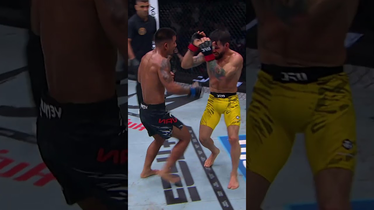 Joshua Van ထိုးသွားတာက လက်တော်တော် မြန်တာပဲ #ufc317