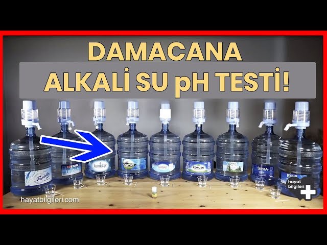 t-rkiye-nin-ph-de-eri-y-ksek-damacana-su-markalar-nefis-yemek-tarifleri