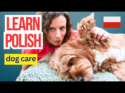 How to Care for a Dog | Intermediate Polish Listening Practice