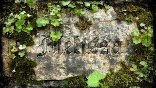 Video Melissa hledá novou zpěvačku !