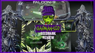 Is Exotic Genetix Worth The Price$$!!!