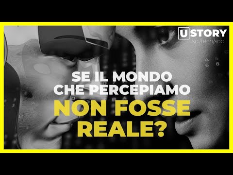 Is the world we know a virtual simulation?