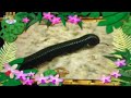 Baby TV The Amazing World 2005 Episode 14 Small Animals