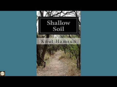 Shallow Soil by Knut Hamsun — free full audiobook