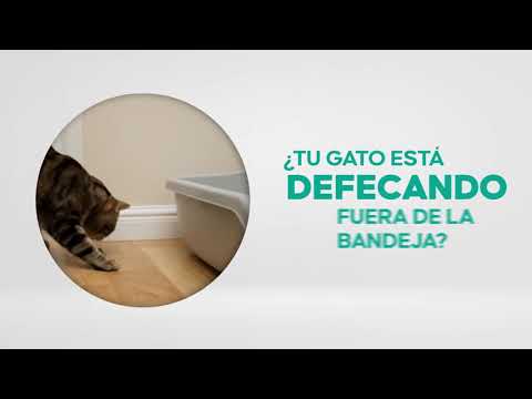 ¿Tu gato está defecando fuera de la bandeja? ¡Activá el Modo Ohm!