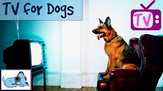 TVforDogs,RelaxingDogTV,FilmforDogs,NaturevideosforDogs,EntertainmentforDogs