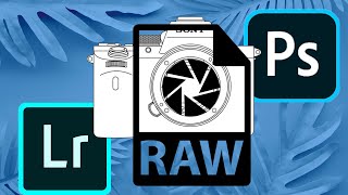 Fixing SONY A7RV RAW Files in Lightroom and Photoshop