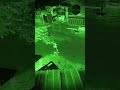Horror Movie Kanchana 3 Horror Ghost Scary Youtube Funny