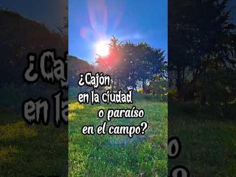 En la ciudad: 15 m² 😒 En Guatavita: 14.000 m² 🤩 Haz cuentas y escríbenos 😉
