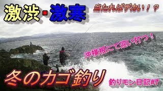 #7【下田横根】冬のカゴ釣り！沖横根にて討伐せよ！