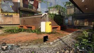 bo3