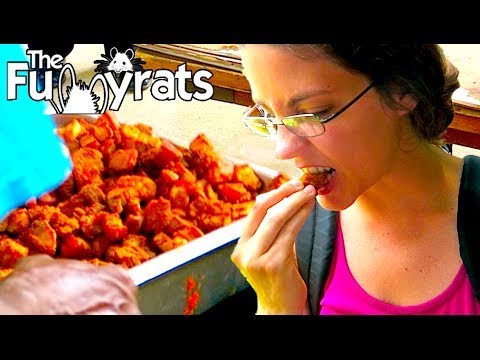 EATING DEEP FRIED PIG FAT AT VERMILIONVILLE  | Day 2197   Family Video