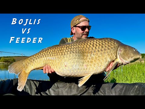 Bojlis vs Feeder: örömpeca egyesületi tavon | Palotás