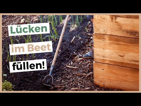 14 Gemüse, die du im September noch anbauen kannst!