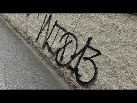 WID 13 Gang Member Murdered by Fellow Gang Member in Panorama City