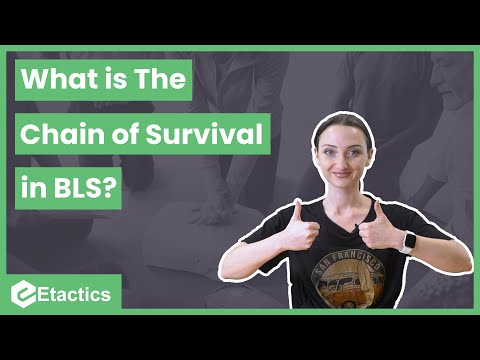 What is The Chain of Survival in BLS?