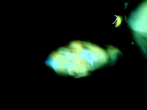 Lil Lonnie & Telli Mobb Inda G ..