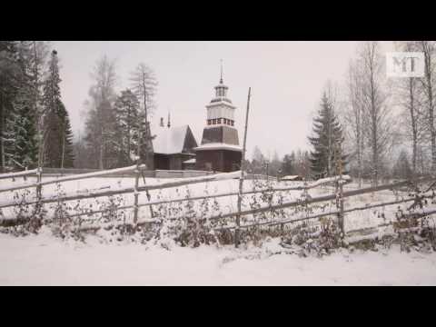 Petäjäiset  juuret