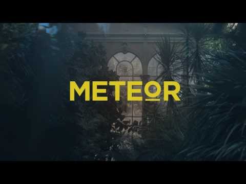 Meteor - Taïga