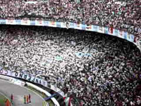 EO EO EO TRICOLOR TRICOLOR- Santa Cruz-PE x Trexe-PB