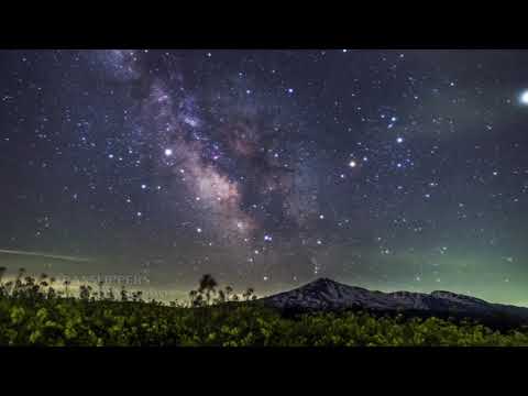 TRANSLIPPERS - Hover (DENSE remix)