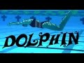 Learn Dolphin Kick - with Leila Vaziri 
