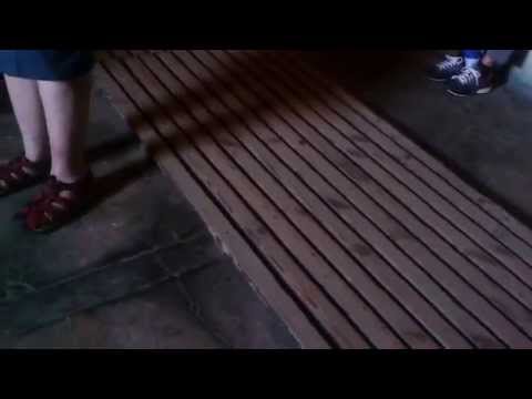 טיהר ר' ישמעאל-תאי הגזים במיידנק (ציפי קליין)