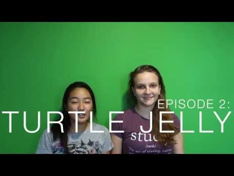 The Iron Stomach Challenge Ep2: Turtle Jelly