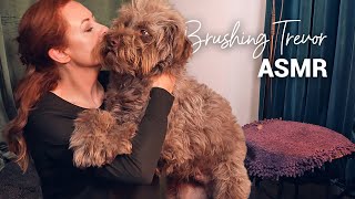 ASMR Dog Brushing 🌟 Trevor 🌟 Grooming Sounds & Cuddles