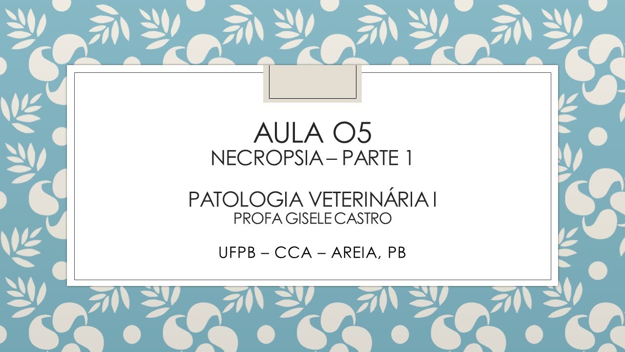 Aula 05 necropsia 1 Pato 1