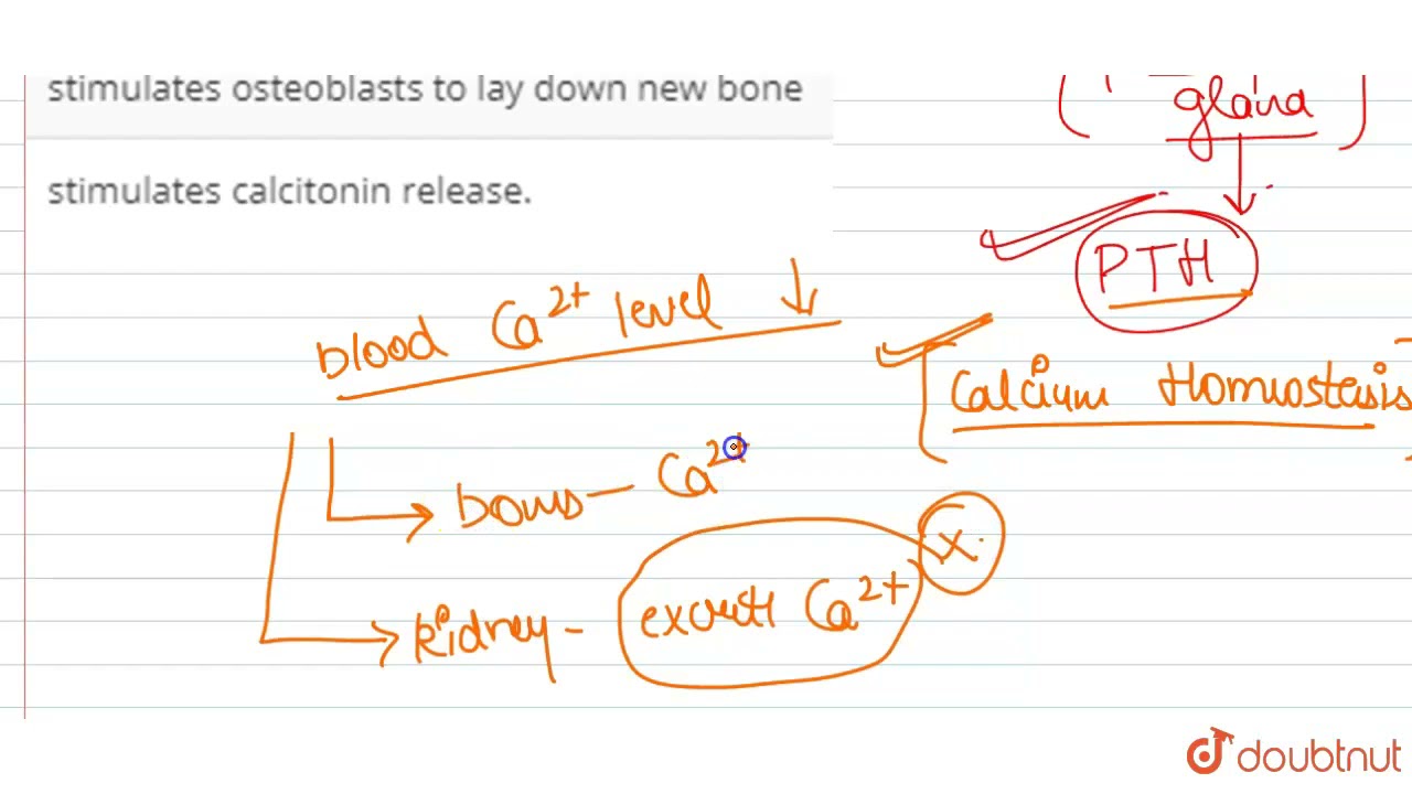 Parathyroid hormone : | 11 | CHEMICAL COORDINATION AND INTEGRATION | BIOLOGY | PRADEEP | Doubtnu...