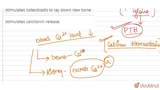 Parathyroid hormone : | 11 | CHEMICAL COORDINATION AND INTEGRATION | BIOLOGY | PRADEEP | Doubtnu...