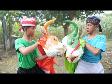BATTLE BANTENG ORANGE VS BANTENGAN SAPI HIJAU SAMPAI MBEROT KALAPAN KERASUKAN DEMIT