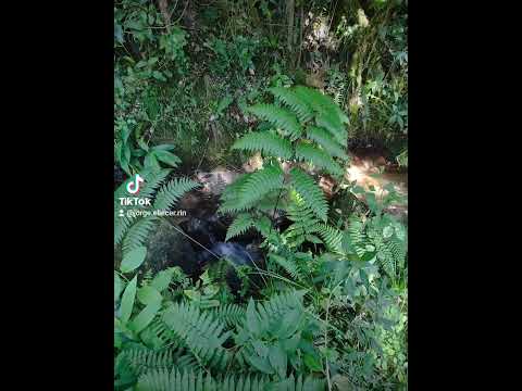 tibaná Boyacá Colombia chiguatá