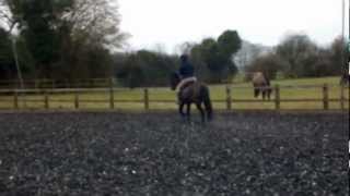 Whiskey for sale on the flat