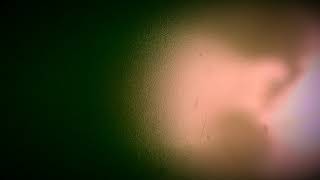 Dreams- Conor McLoughlin