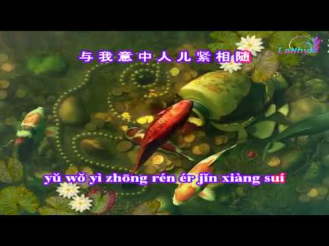 Tình Nhi Nữ - KARAOKE - 女儿情 - Beat