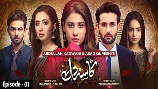 Kasa-e-Dil - Episode 01  English Subtitle  9th Nov