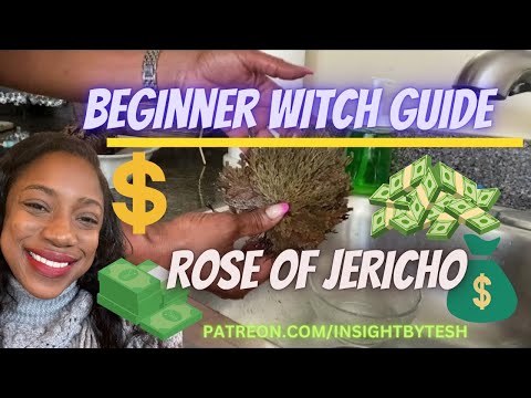 🪄💫✨💰💵🔮ATTRACT WEALTH FOR YEARS TO COME WITH ROSE OF JERICHO💲🍀💵