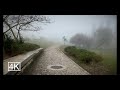 Walking In Lisbon Foggy Morning At Parque Oeste Winter Tour